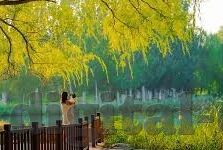 极品麻豆av-多重诱惑下,寻找真实之美的探索之旅
